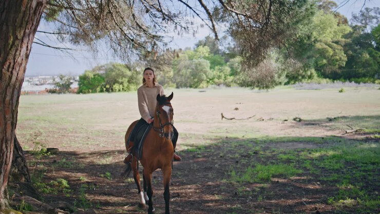 Active horse racing park with woman owner running grassy area at sunny day park