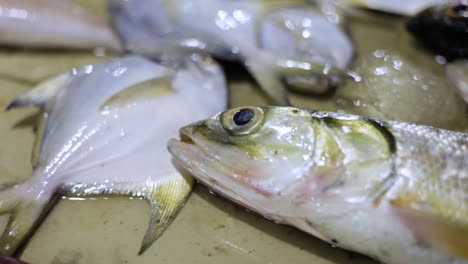 closeup of dead fishes for sale in traditional fish market