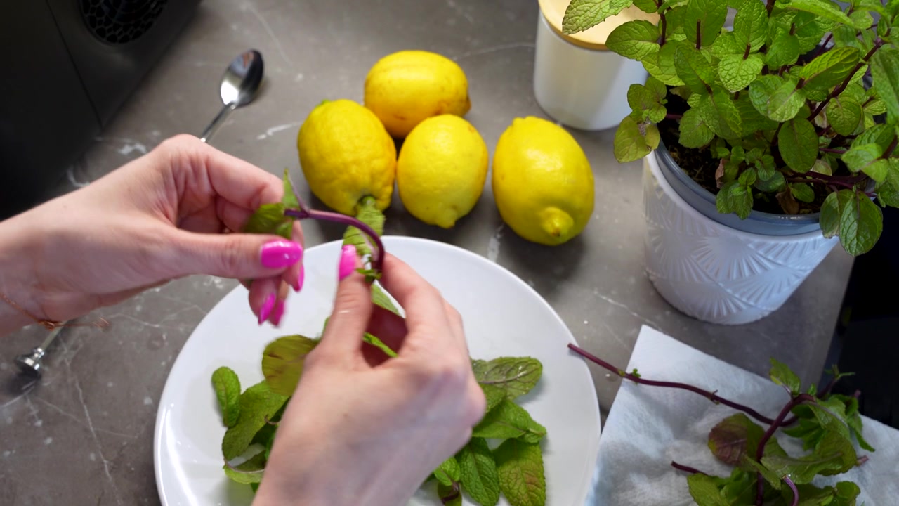 Lähikuvaa naisen käsistä valmistamassa kotitekoista limonadia tuoreista sitruunoista ja mintusta kotikeittiössä. Ihanteellinen teemoihin, jotka liittyvät kotitekoisiin resepteihin, ruoan ja juomien valmistukseen, kulinaariseen sisältöön.