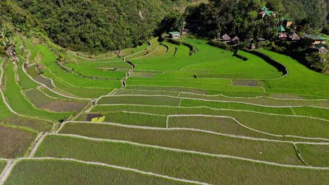 imágenes cercanas de drones de las famosas terrazas de arroz verde de batad en el norte de filipinas durante el amanecer