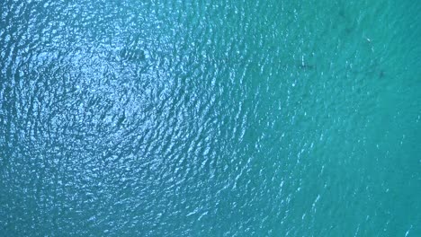 aerial view of calm ocean water