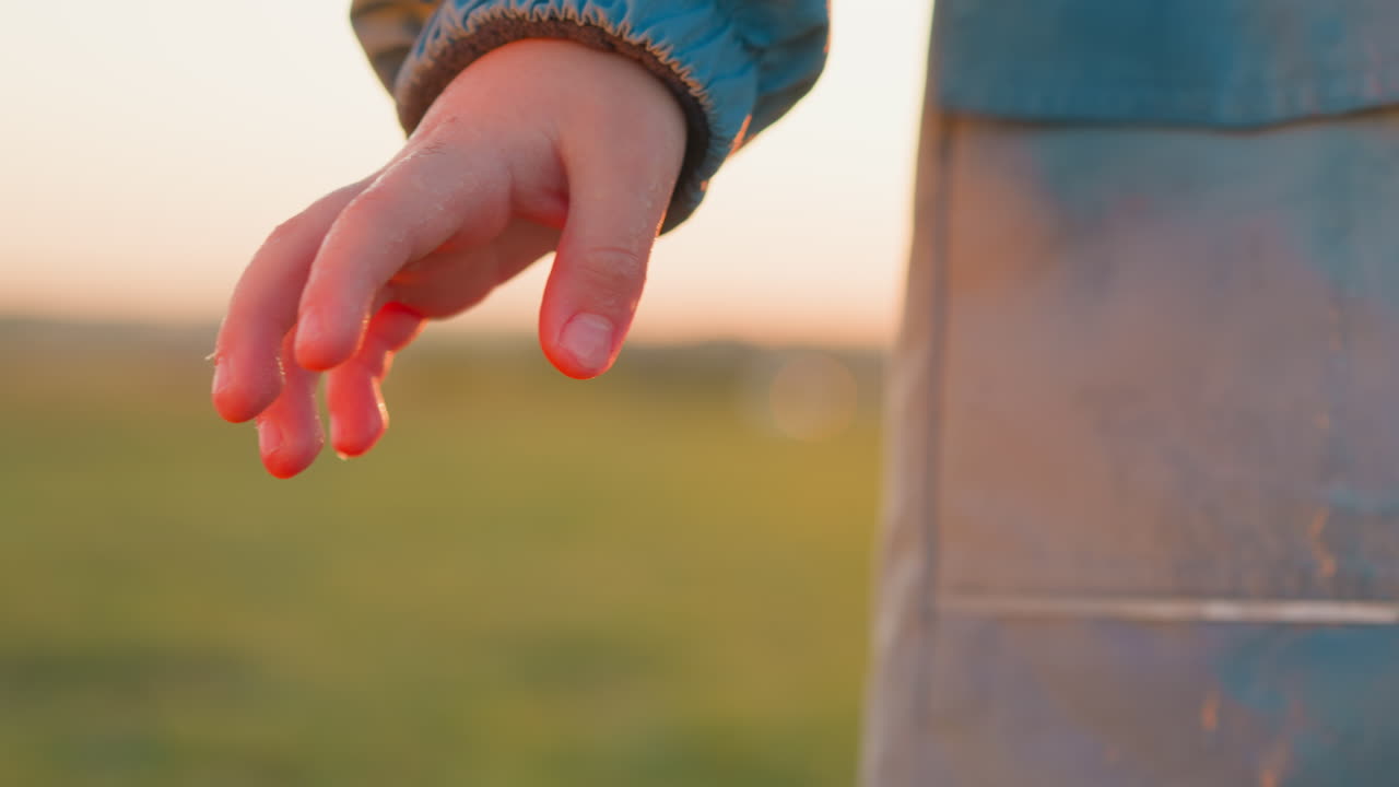 아이의 레인코트에 대한 비의 걱거림 클로즈업 방울의 물 어리가 아이의 코트를 장식합니다 명예의 배지