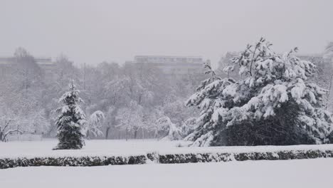 beautiful landscape shot on a snowy day in public park