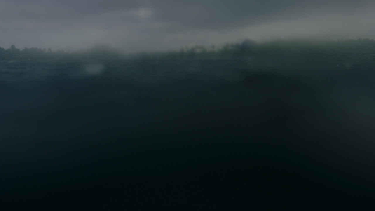 Stormy Rain Over Ocean and Forest