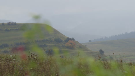 Fokussierung-Von-Einer-Nassen-Umformung-Auf-Die-Rumänische-Landschaft