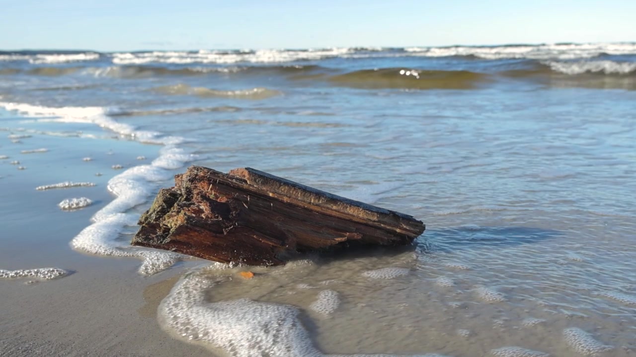 Um tronco à deriva em uma praia de areia durante um dia ensolarado, enquanto as ondas borbulhantes e espumosas do oceano se movem e o lavam em câmera lenta. A água é azul e reflete na areia.