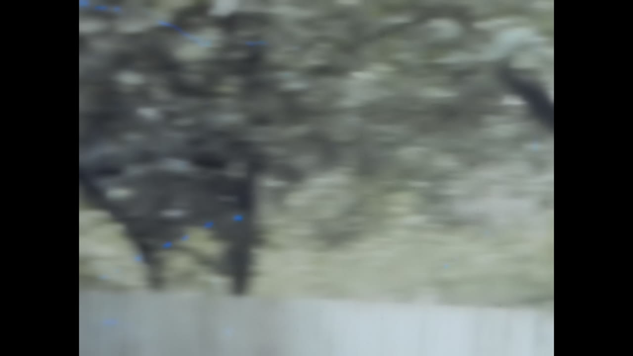 Young Boy Standing in Front of a White Fence. CIRCA USSR 1980s: A young boy stands in front of a white fence against a backdrop of the Soviet Union.