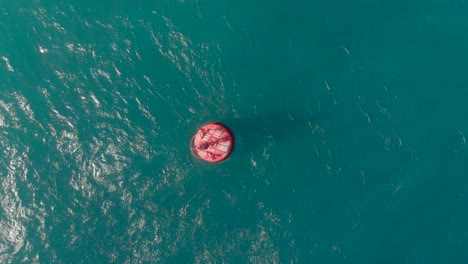 aerial shot of a red buoy in a beautiful blue sea