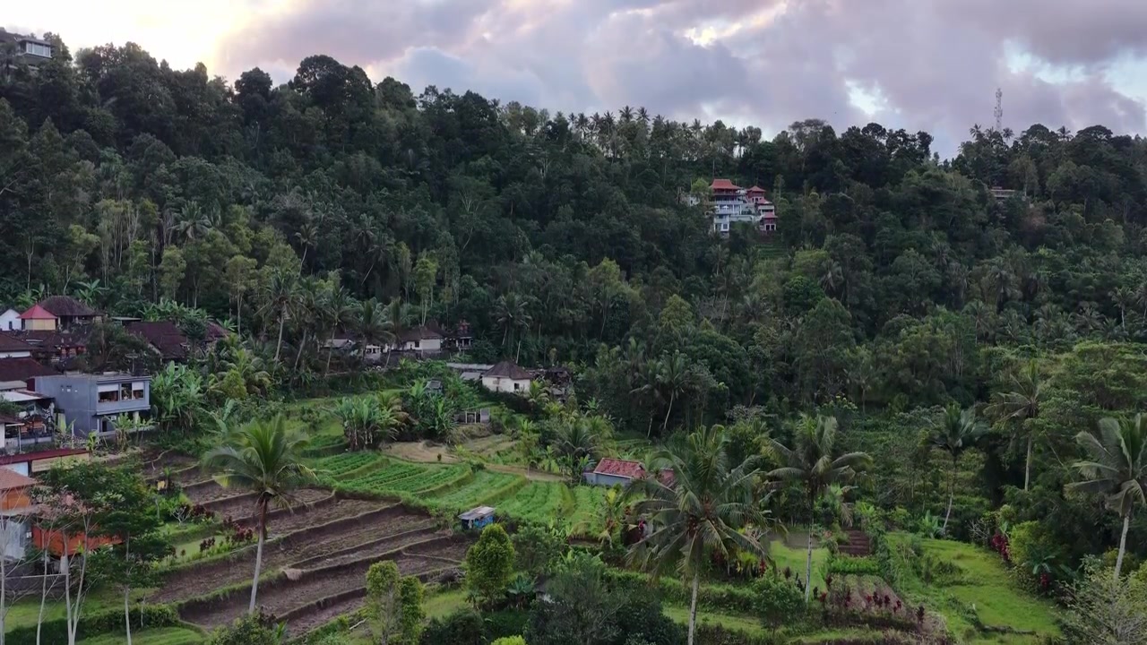 Terraced Rice Fields With Dense Trees In The Mountain In Sidemen Valley, Karangasem, Bali, Indonesia. - aerial ascend shot