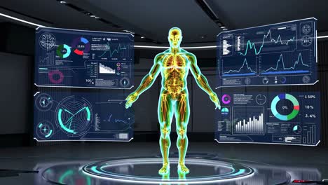 human body anatomy visualization with interactive data dashboards