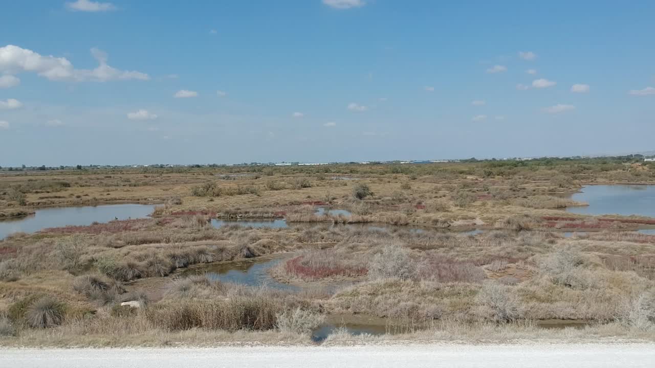 Sideways moving drone shot of a swamp close to delta of Axios river in Thessaloniki-Northern Greece