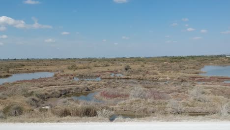 sideways moving drone shot of a swamp close to delta of axios river in thessaloniki-northern greece