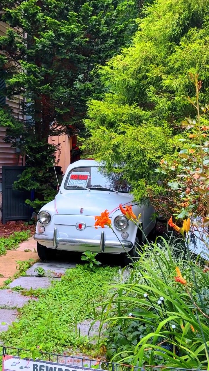 Jim Thorpe, USA, 27. Juli 2025: Kleiner weißer Oldtimer zum Verkauf, geparkt zwischen Pflanzen. Weißer kompakter Oldtimer mit Verkaufsschild, geparkt auf einem Steinweg, umgeben von üppigem Grün.