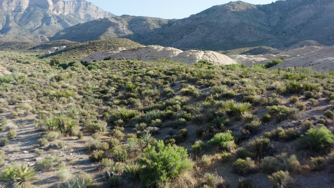 Arid Desert Landscape with Mountains and Dry Wash