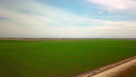 Aerial-view-of-lines,-shapes-and-patterns-in-the-fields-of-farmland-crops