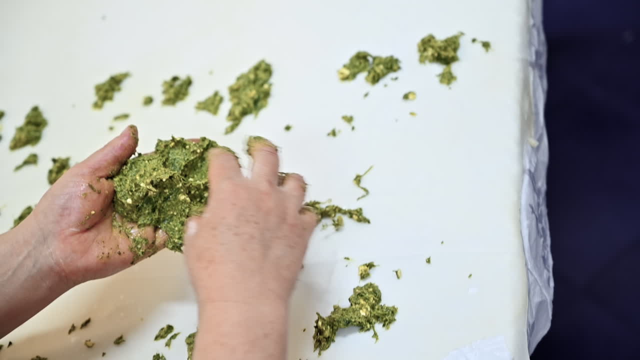 Cook adding filling to dough for placints, Romanian and Moldovan traditional food. Slow motion