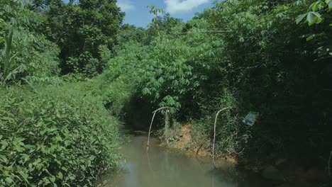 Vista-De-Un-Arroyo-De-Agua-Dulce-En-El-Bosque-Durante-El-Día---Disparo-De-Drones