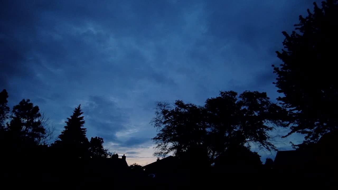 Tramonto a tarda sera contro la silhouette di una linea di alberi, timelapse.