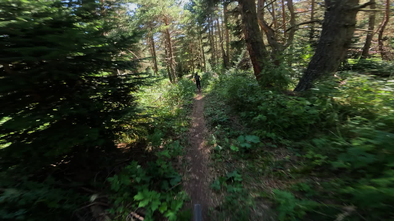 First Person View of Mountain Biker Following a Trail in a Sunny Forest