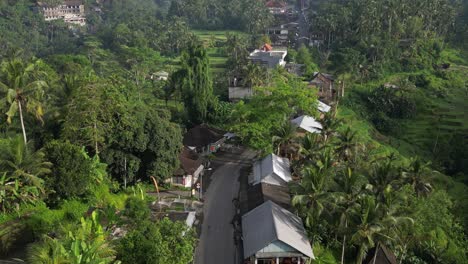 road surrounded by jungle environment in the depths of bali, indonesia