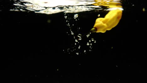 super slow motion of fresh madame jeanette peppers falling into water on black background