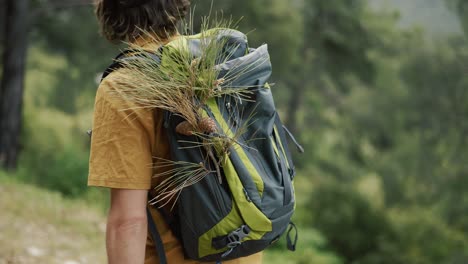 Hipster-with-man-tourist-backpack-green-pine-trees-walks-alone