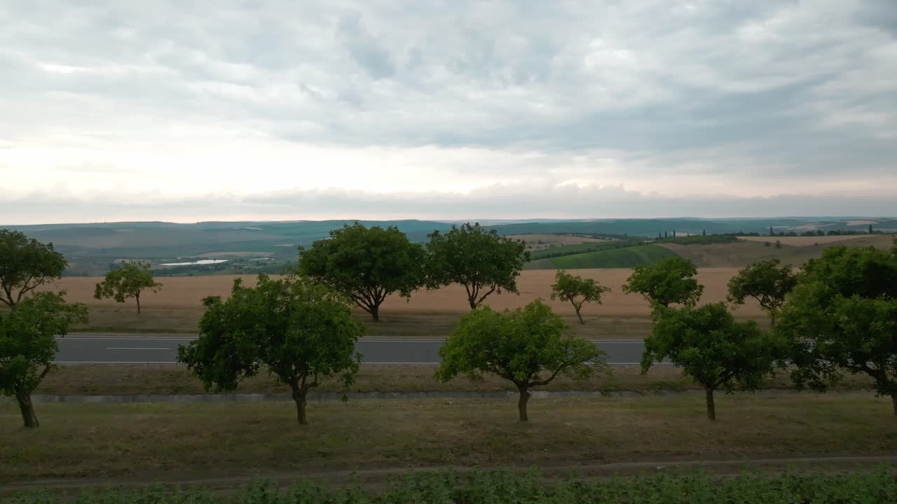 Spostandosi lateralmente lungo la strada dove ci sono alberi con una chioma rigogliosa attraverso i quali si può vedere un altro campo di grano giallo e in lontananza si vede l'orizzonte con prati verdi.