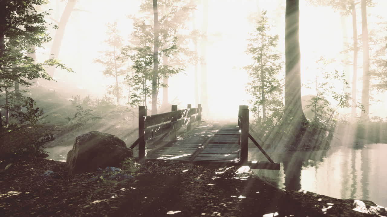 Misty forest bridge invites adventure through tranquil nature at dawn