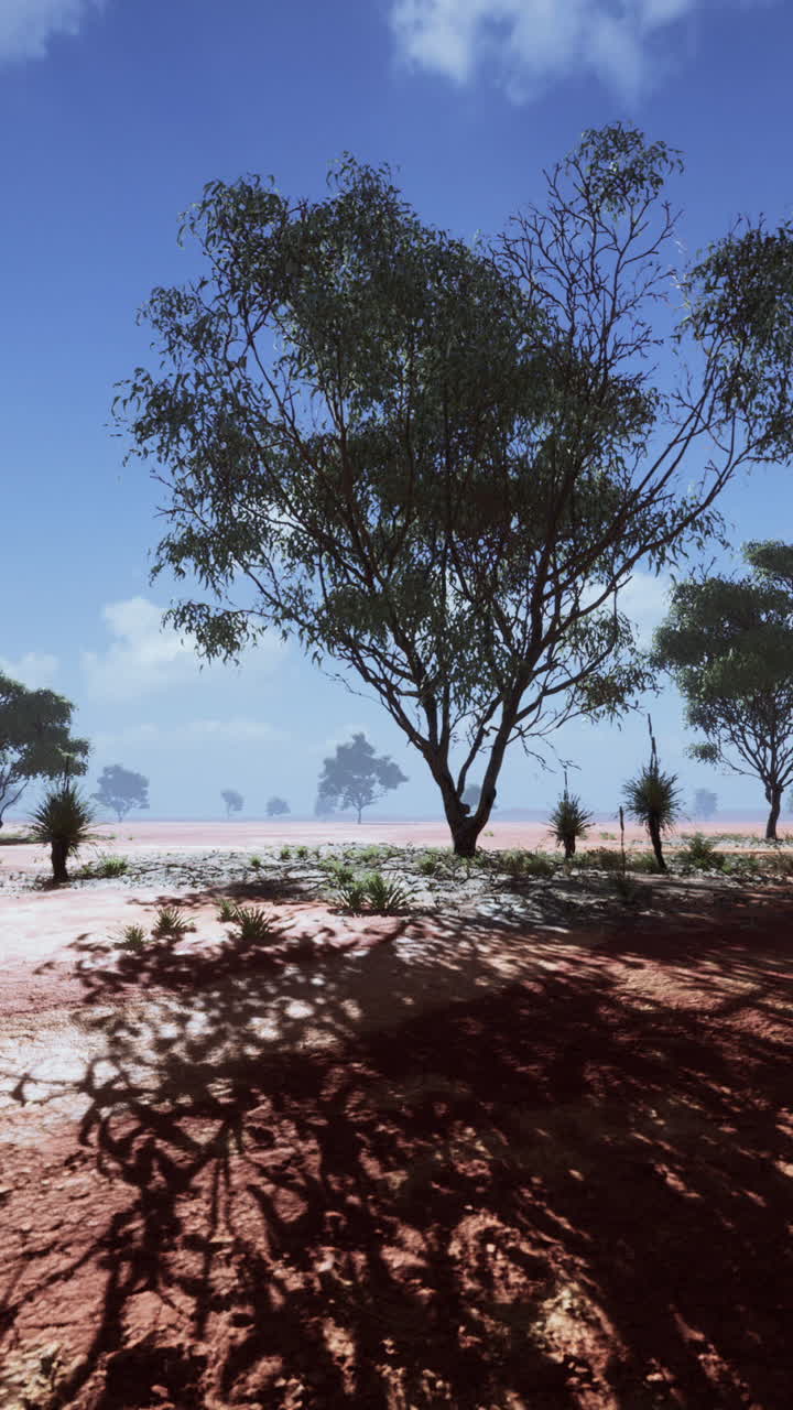 paisaje desértico del interior de australia