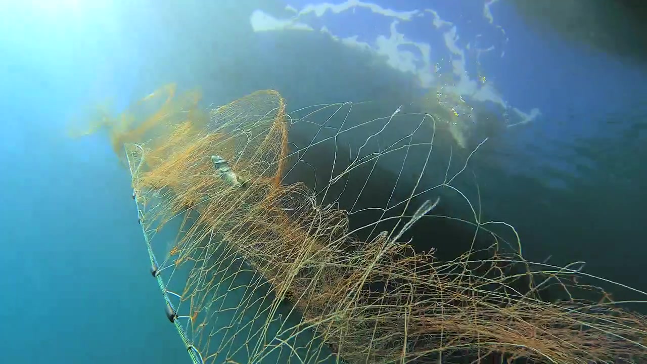 Fishing Net Submerged in Clear Blue Ocean Water