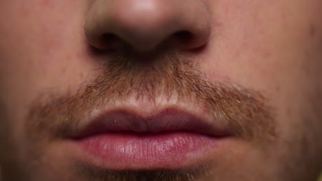 bearded man smiling at camera. adult guy showing teeth. macro shot male face