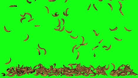 Green-screen-fruit-bananas-falling-stacked