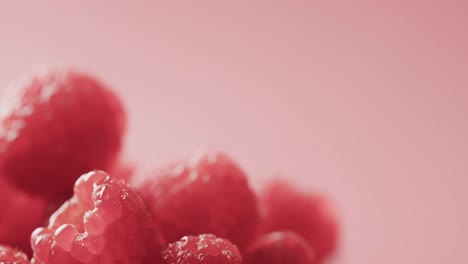 micro video of close up of raspberries with copy space on red background