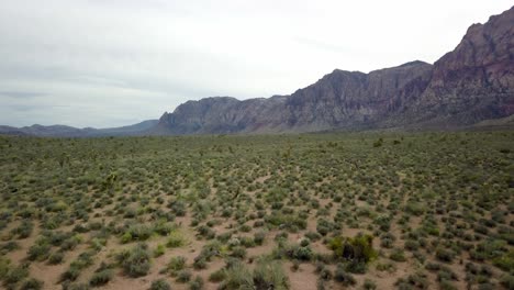 Fast-Aerial-Pullout-of-desert-floor-at-Red-Rock-Canyon-in-Nevada