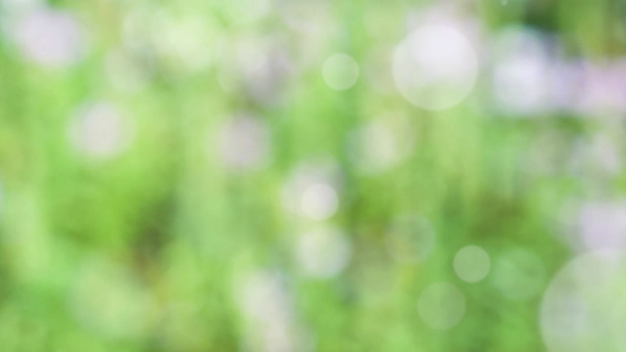 fondo de resorte abstracto con bokeh