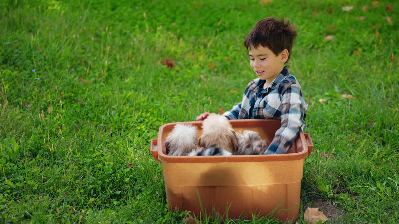 Boy playing with dogs in a tub