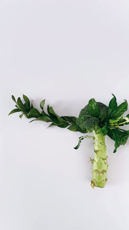 broccoli and leaves arrangement