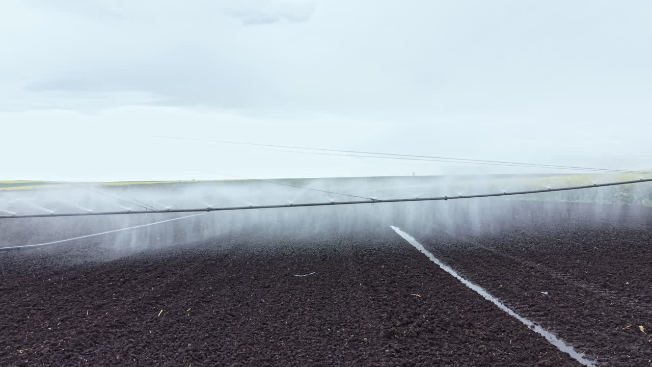 Gli agricoltori utilizzano sistemi di irrigazione per innaffiare le colture in un campo nelle prime ore del mattino prima che il sole sorga completamente.