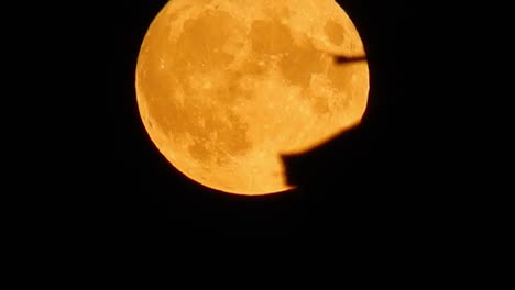 full glowing orange harvest moon crater surface closeup passing rooftop silhouette skyline