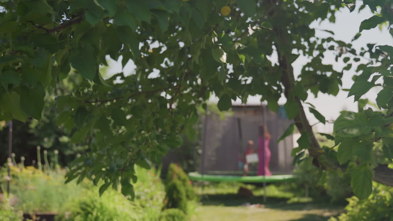 Young Explorer Amidst Lush Flora, Little Child Discovering Nature Through Dense Leafy Environment, Young Child Engaging With Nature While Concealed Among Abundant Leafy Branches Outdoors