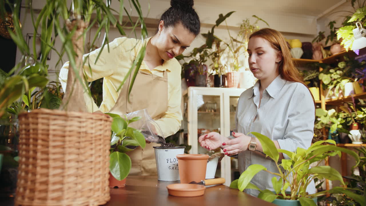 dos mujeres envasando plantas en una tienda de plantas
