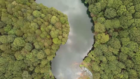 Lake-in-middle-of-the-forest-with-green-water-and-sky-reflect-forward,-cenital-shot