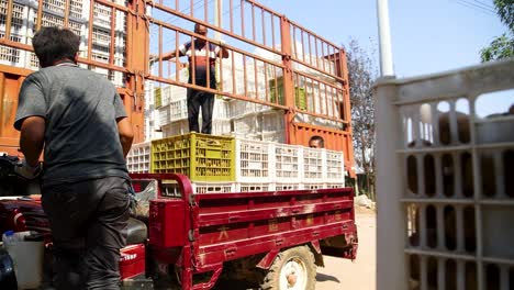 workers loading crates of chickens onto a truck