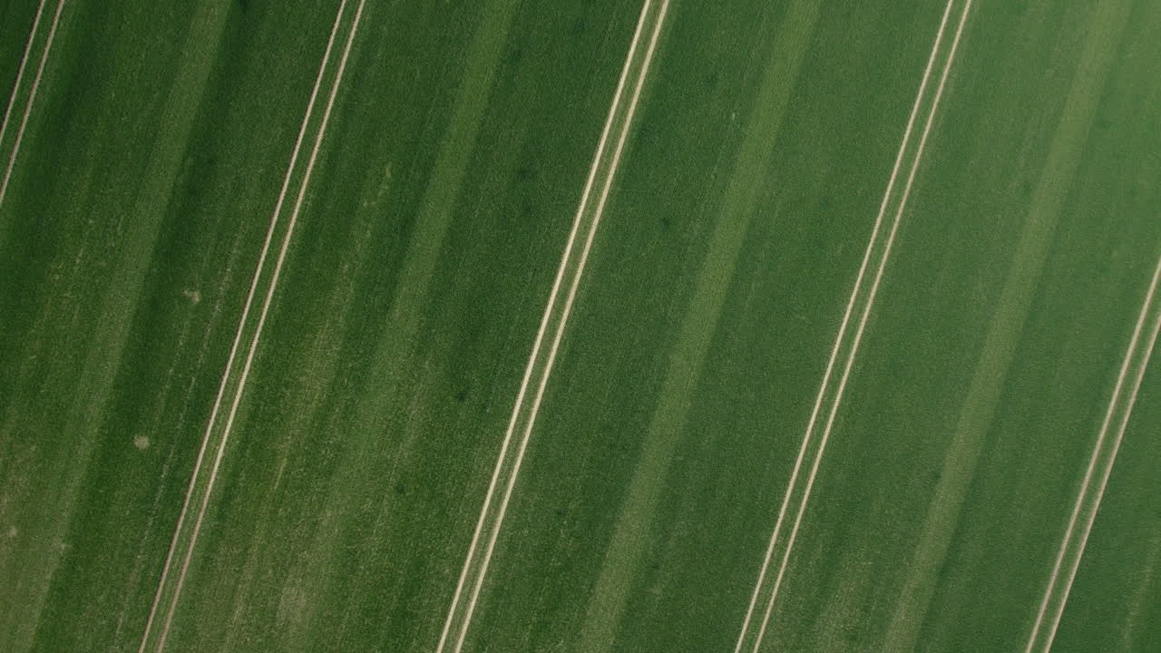 vista aérea de un campo verde