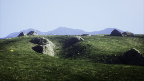 Rolling green hills under a bright sky with distant mountains in view