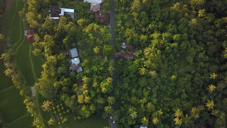 beautiful aerial footage of the highway in the village of bali