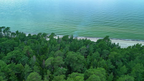 aerial clip of a beach near heavily forested trees and clear green waters