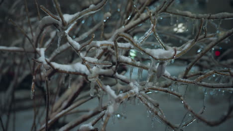 close-up of frosted branches layered with glistening snow and delicate icicles, illuminated by soft light in a tranquil outdoor setting