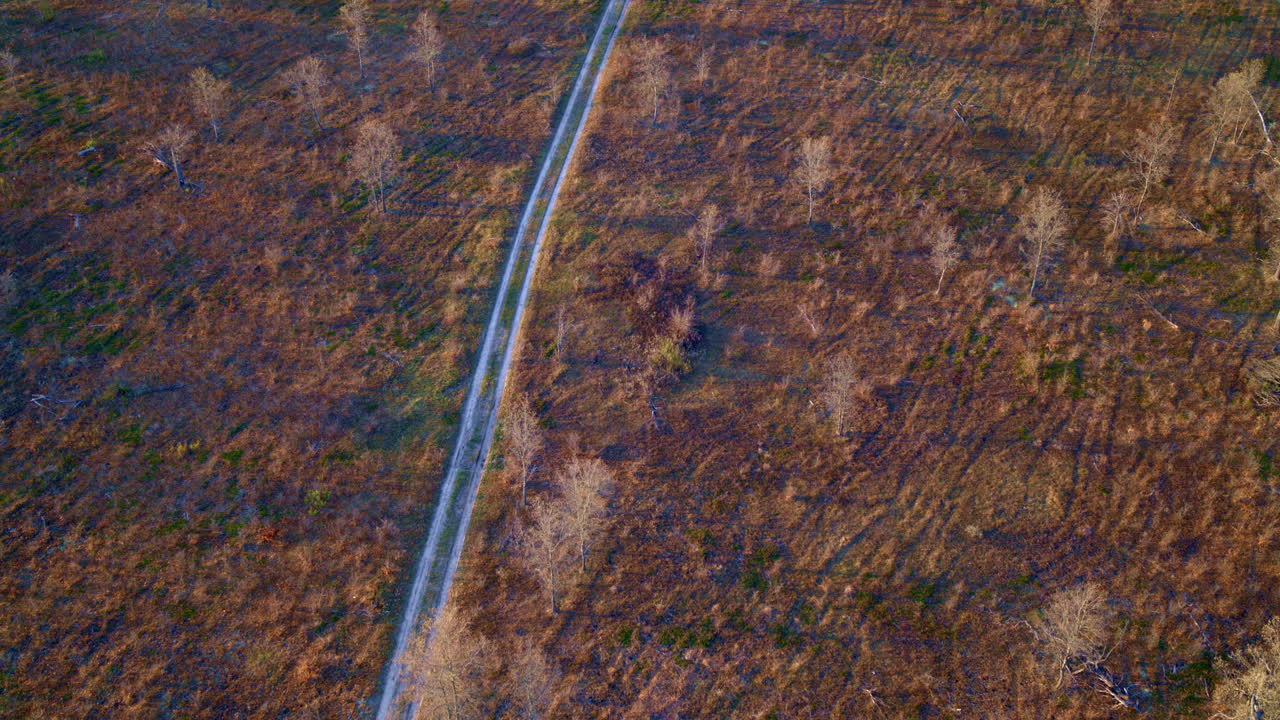imágenes de drones que muestran las secuelas de un incendio en un bosque.