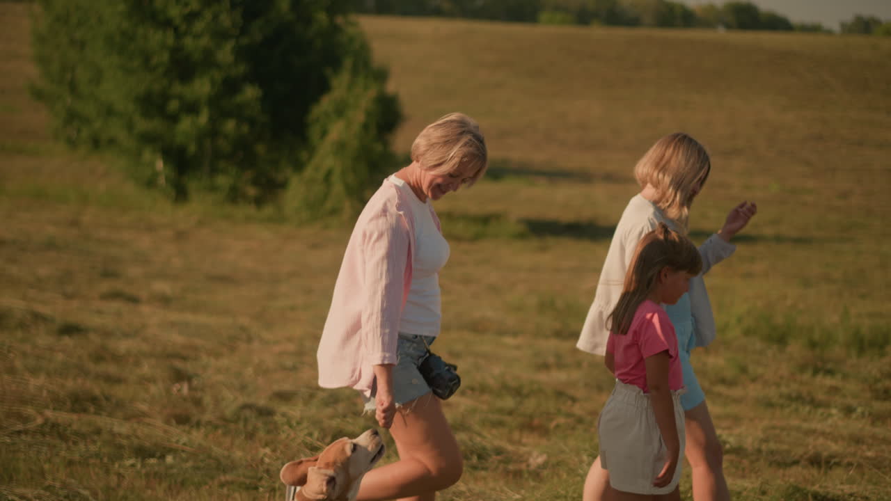 боковой вид любителя домашних животных с сжатым кулаком, когда собака пытается держаться за руку во время прогулки, мать и дочь идут рядом с ними в огромном травяном поле под солнечным небом